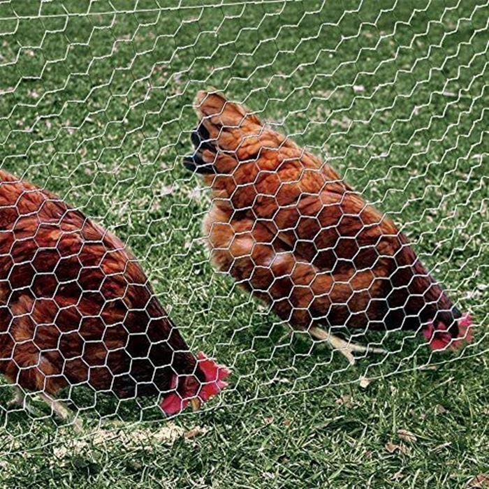 breeding fence (2)