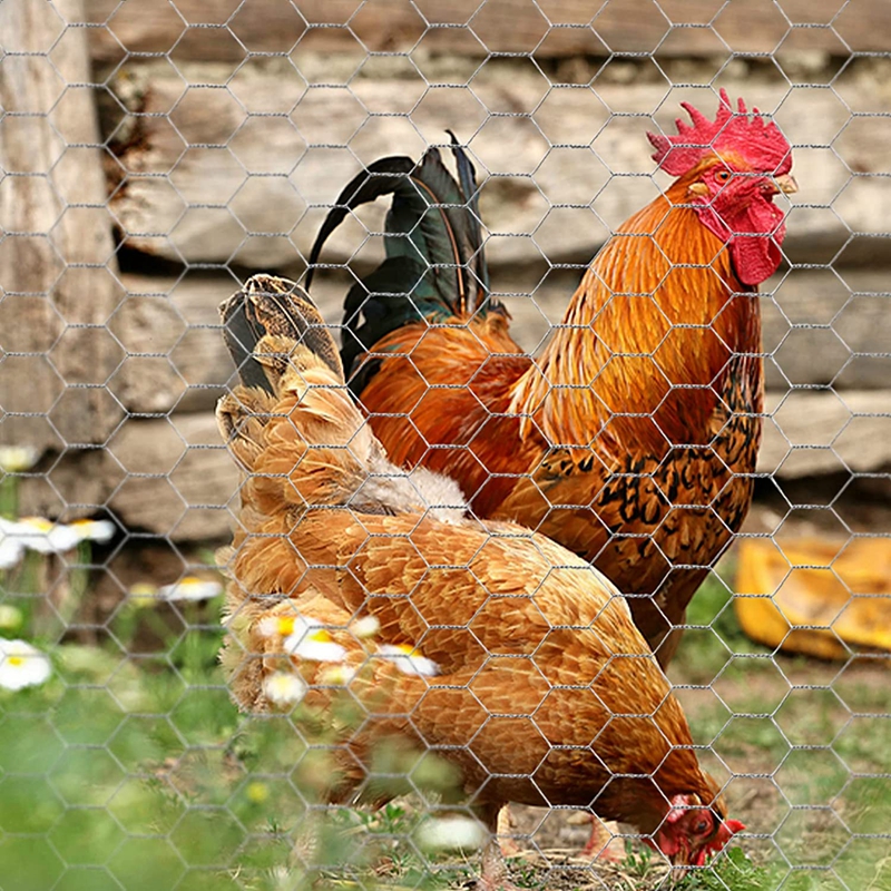 breeding fence (4)